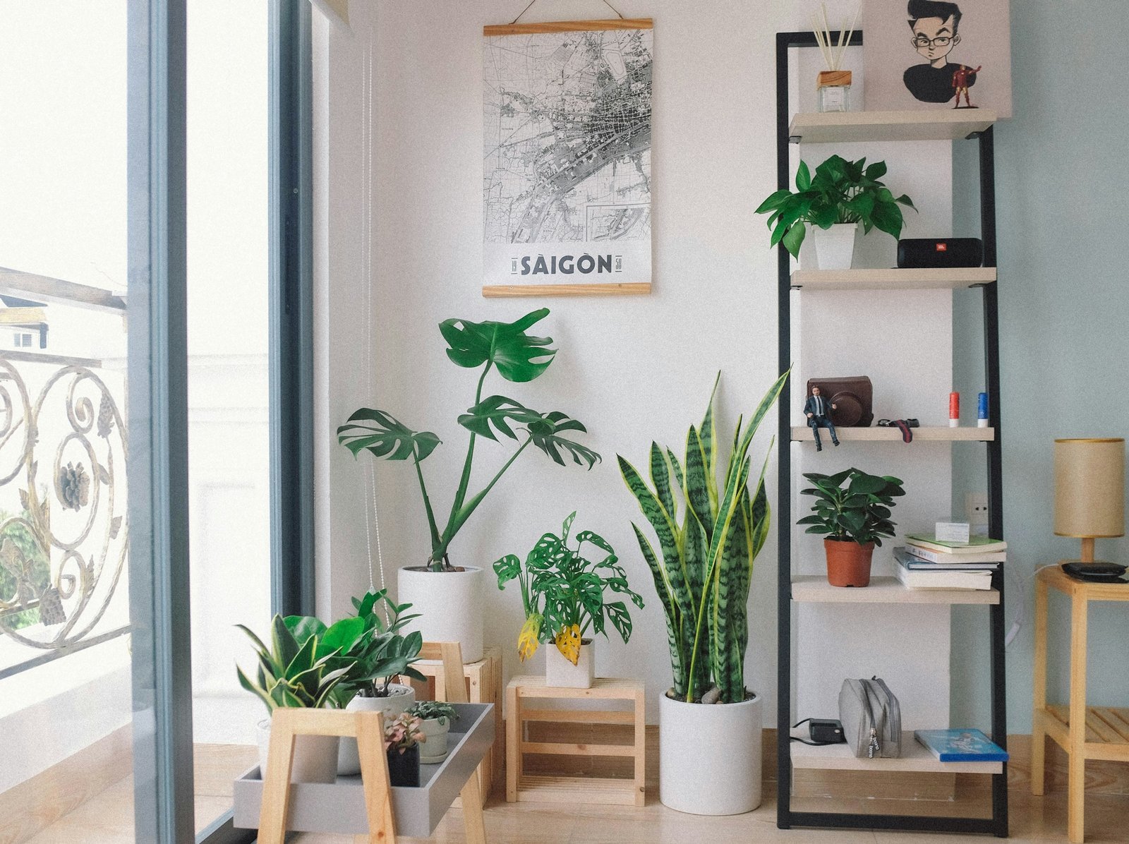 Indoor Plants